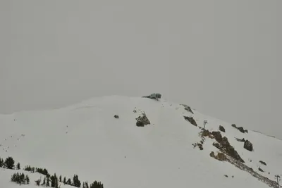 DSC_6718 (Large).JPG